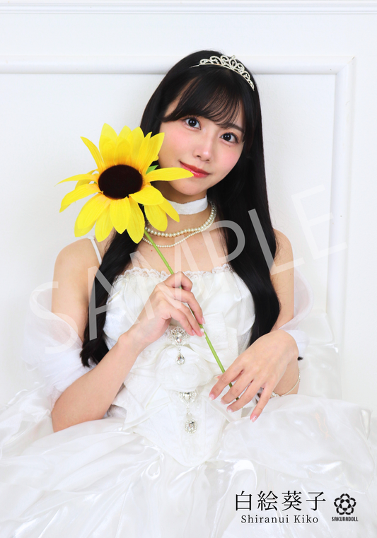 【白絵葵子】KIKO MIHO NAO BIRTHDAY LIVE 2025 ブロマイド全6種ランダム【3枚セット】