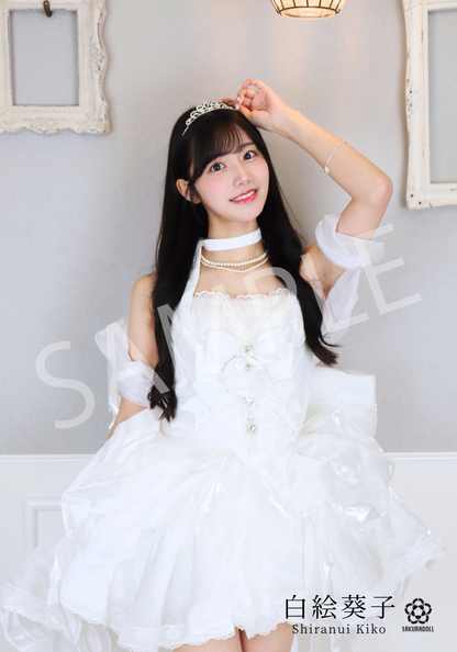 [Shirae Aiko] KIKO MIHO NAO BIRTHDAY LIVE 2025 Bromide (6 types, random) [Set of 3]